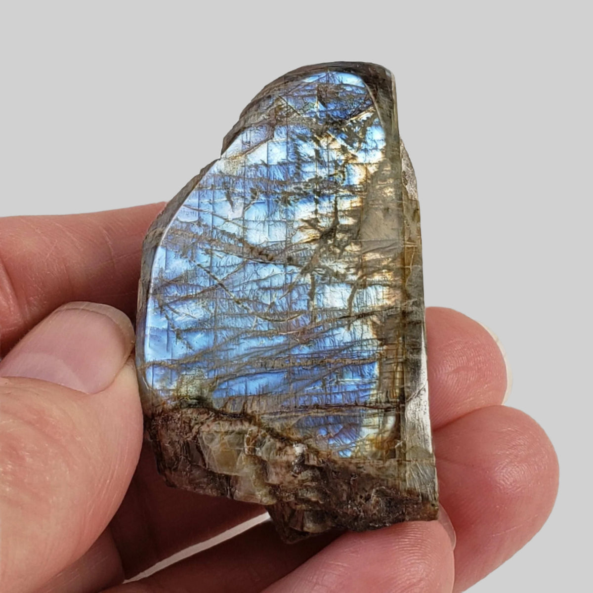  Canadian Labradorite | Polished Flat Stone | Natural Grey Rainbow | 39.6 | Quebec, Canada 1