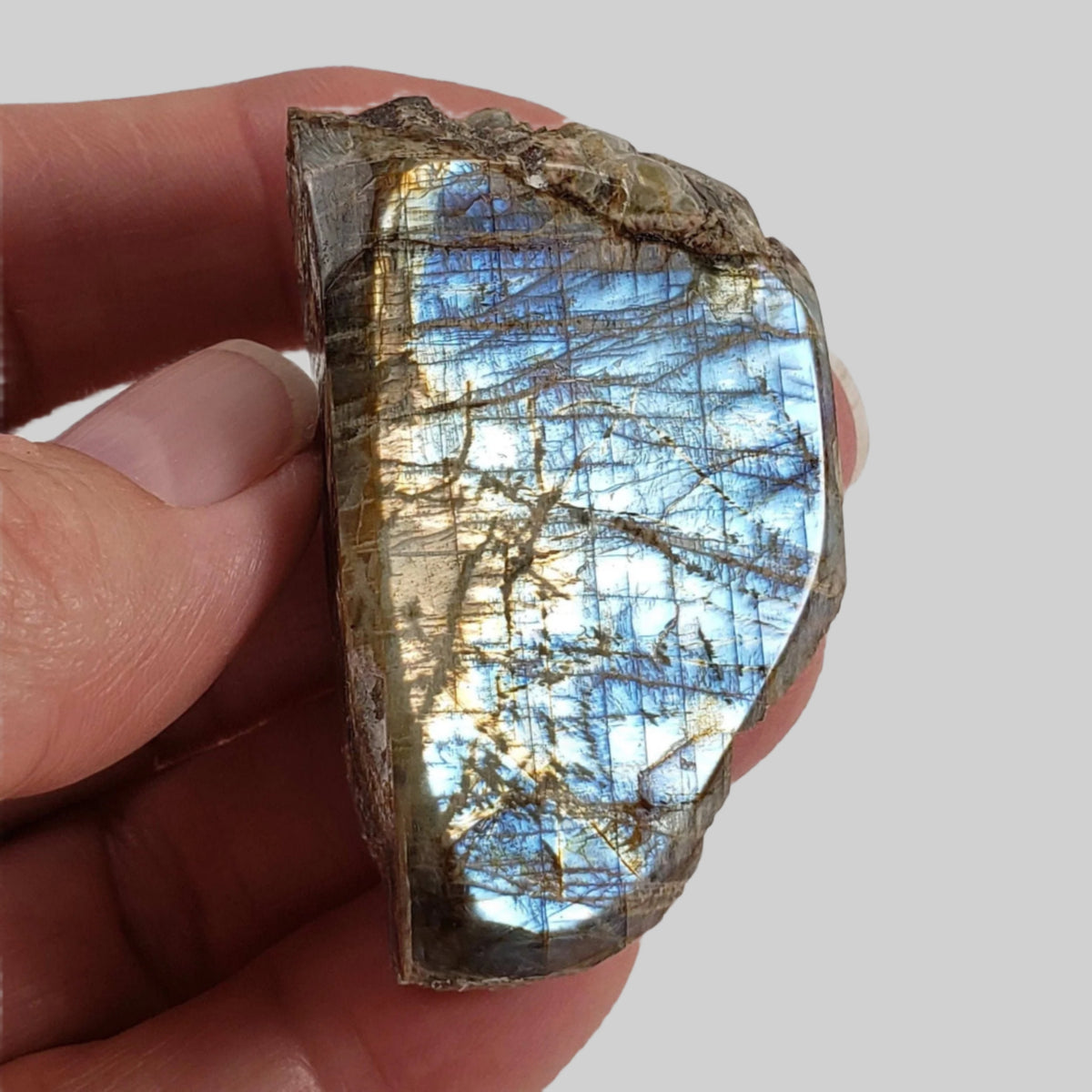  Canadian Labradorite | Polished Flat Stone | Natural Grey Rainbow | 39.6 | Quebec, Canada 