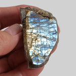  Canadian Labradorite | Polished Flat Stone | Natural Grey Rainbow | 39.6 | Quebec, Canada 