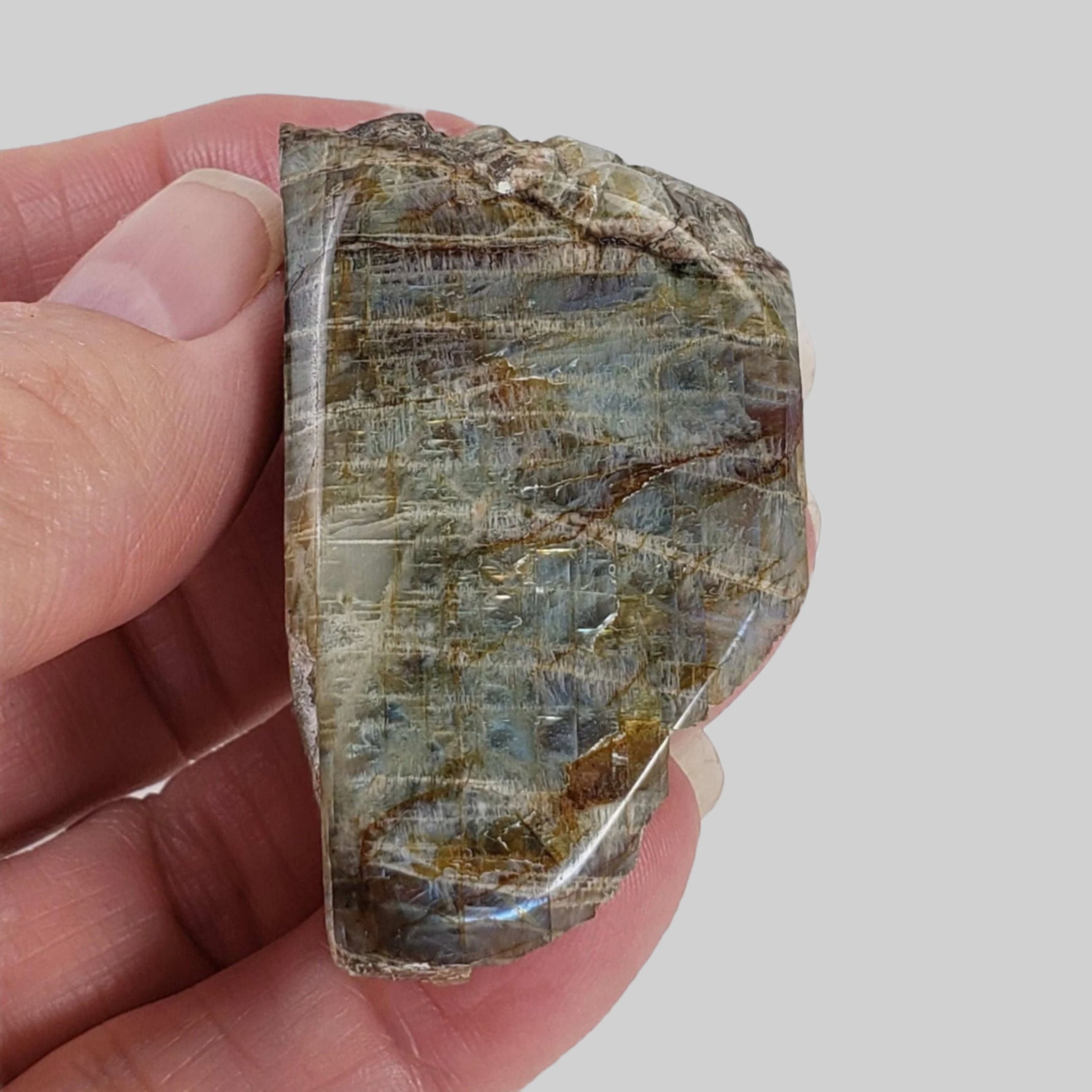  Canadian Labradorite | Polished Flat Stone | Natural Grey Rainbow | 39.6 | Quebec, Canada 5