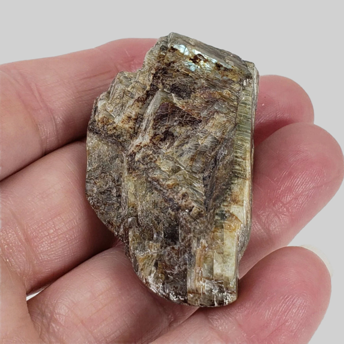  Canadian Labradorite | Polished Flat Stone | Natural Grey Rainbow | 39.6 | Quebec, Canada 7