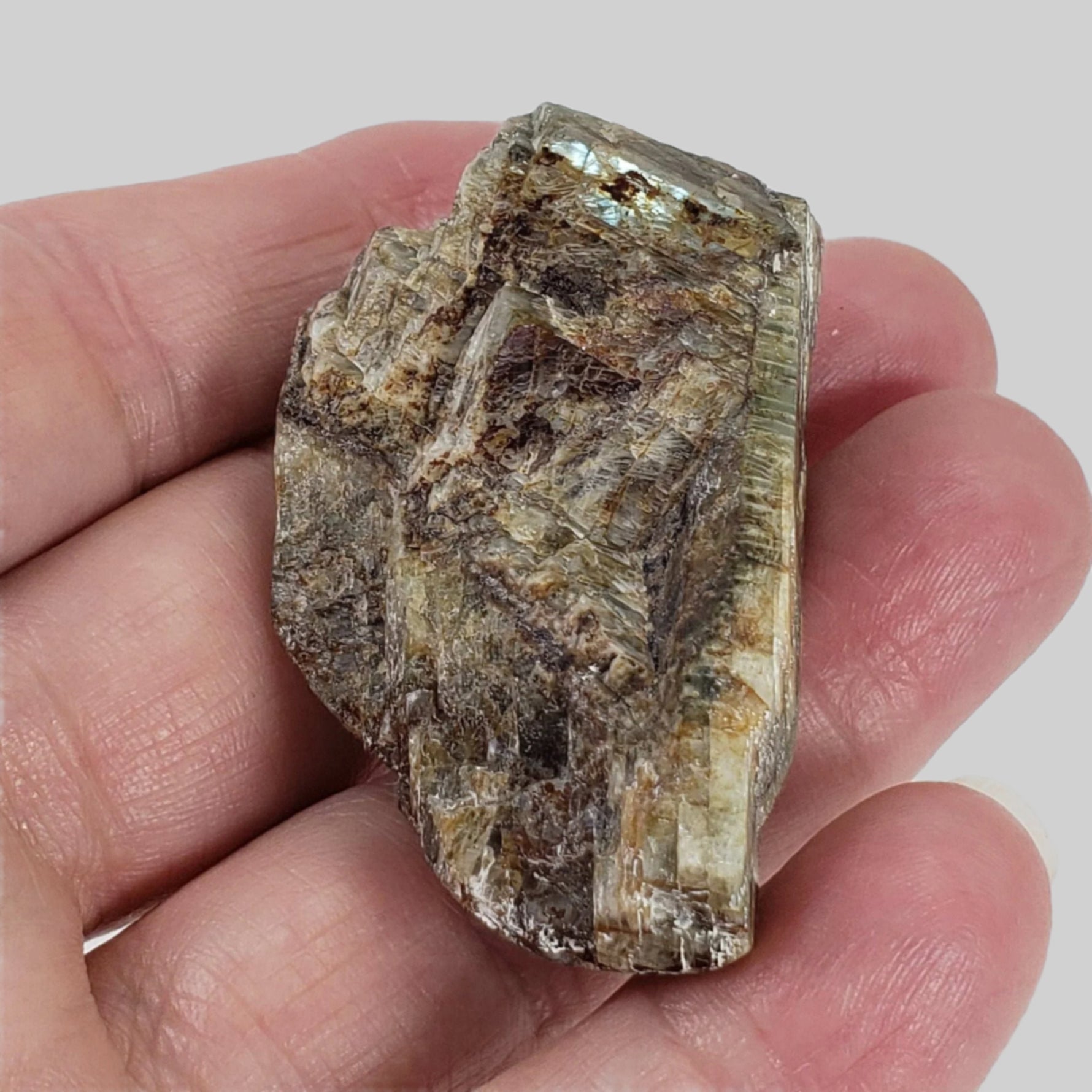  Canadian Labradorite | Polished Flat Stone | Natural Grey Rainbow | 39.6 | Quebec, Canada 7