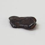  Canyon Diablo Meteorite | 1.0 Grams | Individual | Iron IAB-MG | Arizona U.S.A. 5