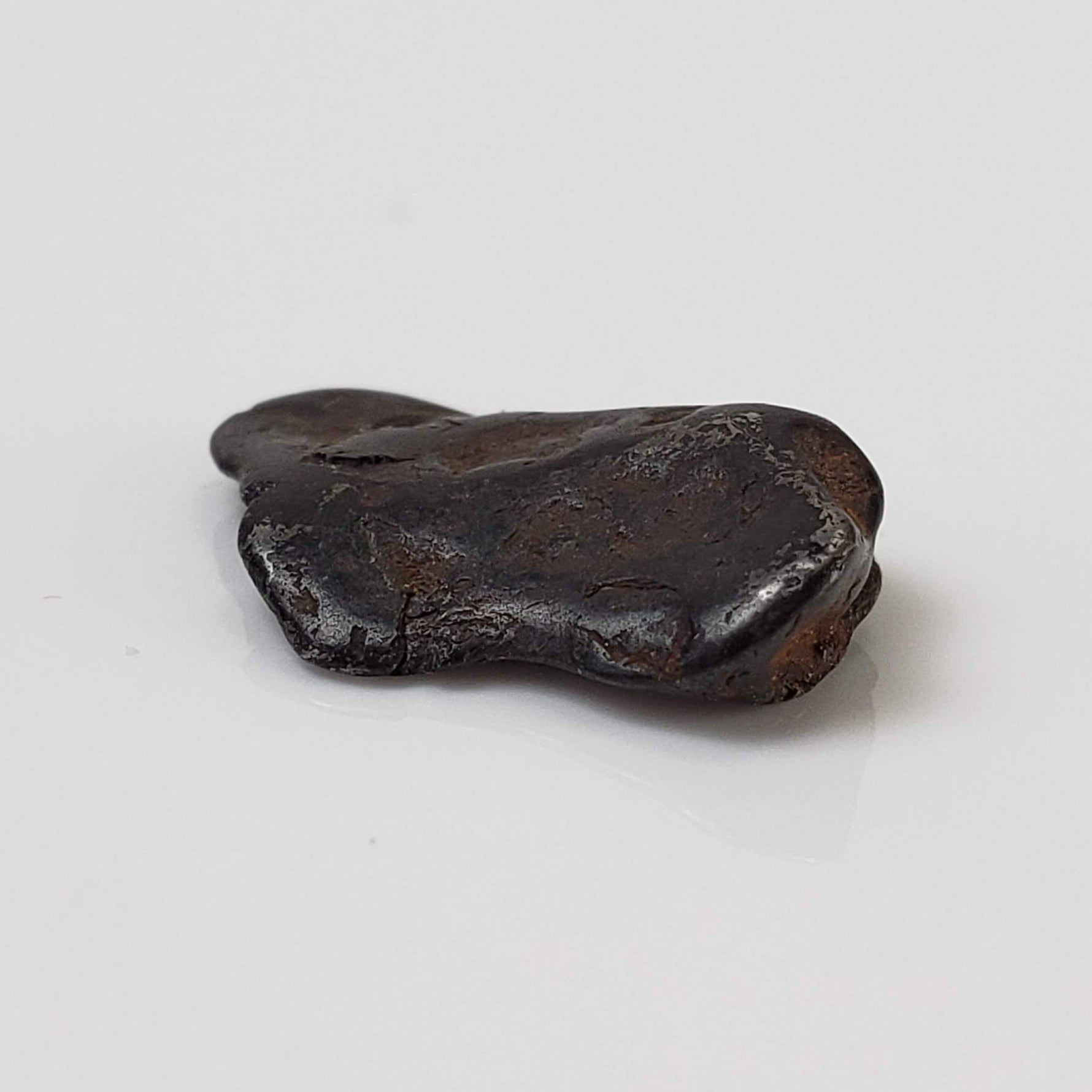  Canyon Diablo Meteorite | 1.0 Grams | Individual | Iron IAB-MG | Arizona U.S.A. 5