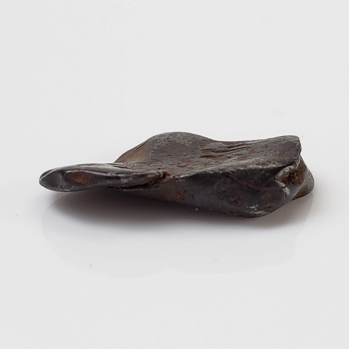  Canyon Diablo Meteorite | 1.0 Grams | Individual | Iron IAB-MG | Arizona U.S.A. 4