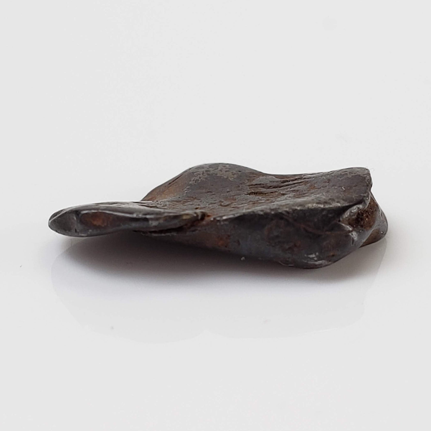  Canyon Diablo Meteorite | 1.0 Grams | Individual | Iron IAB-MG | Arizona U.S.A. 4