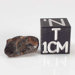  Canyon Diablo Meteorite | 1.68 Grams | Individual | Iron IAB-MG | Arizona U.S.A. 