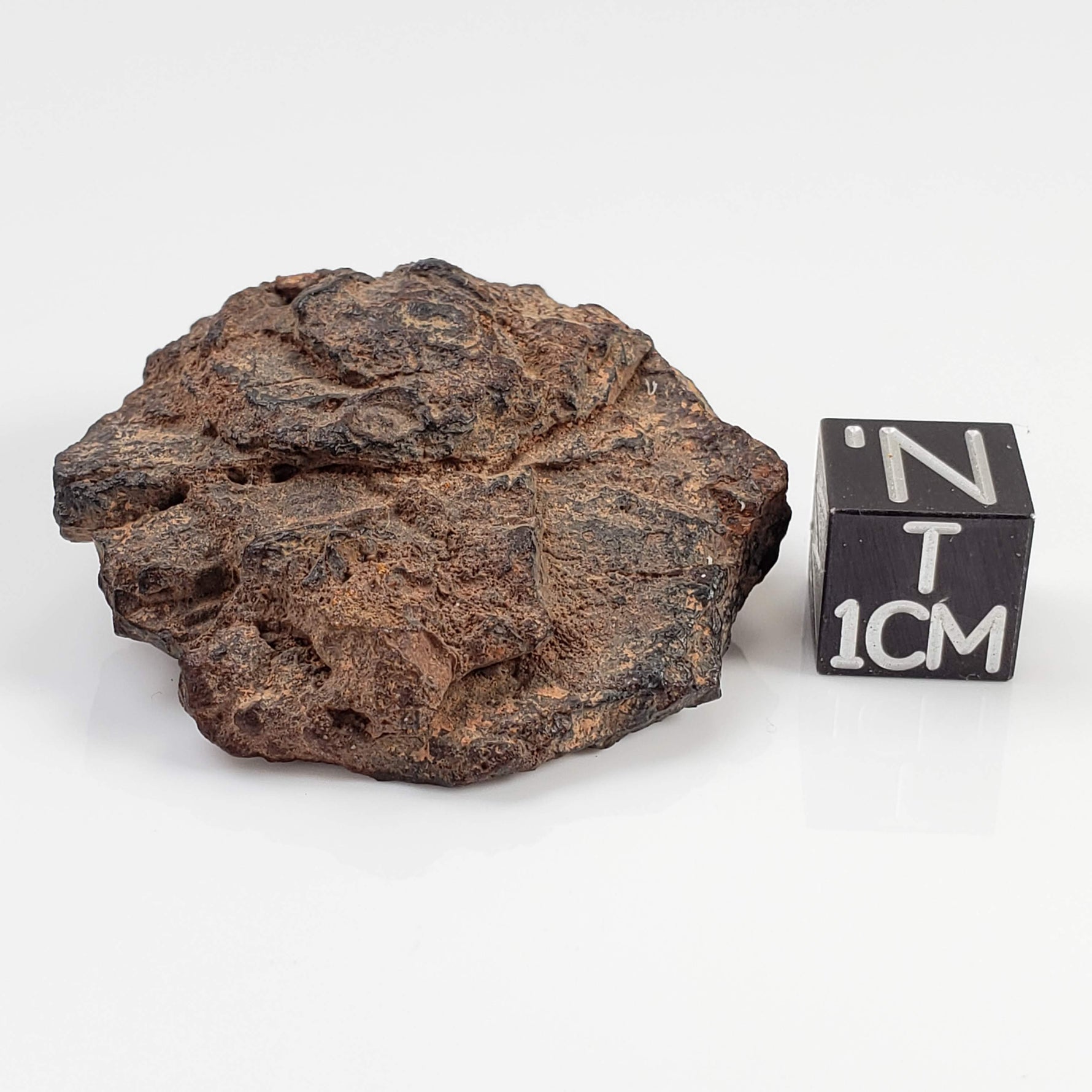  Canyon Diablo Meteorite | 29.39 Grams | Individual | Iron Shale IAB-MG | Arizona U.S.A. 