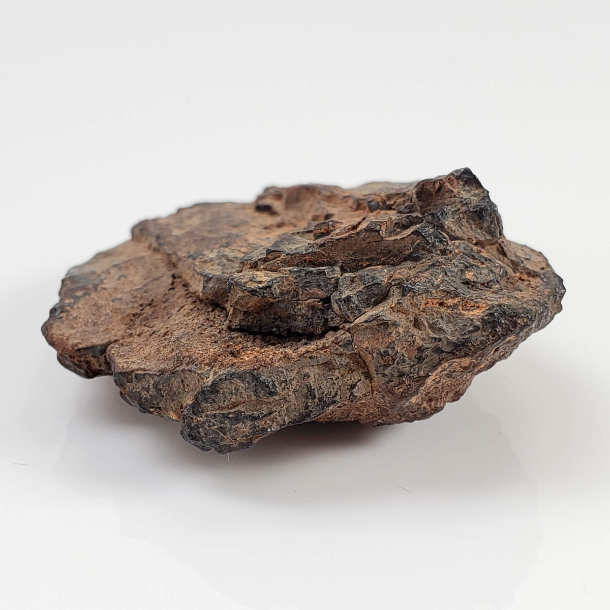  Canyon Diablo Meteorite | 29.39 Grams | Individual | Iron Shale IAB-MG | Arizona U.S.A. 5