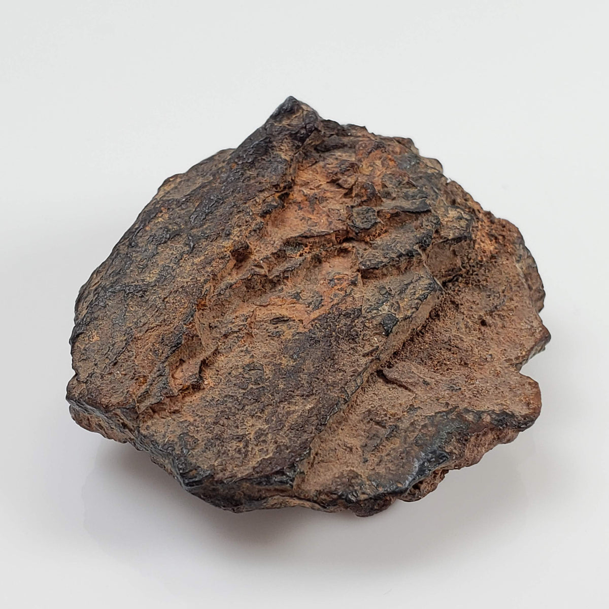  Canyon Diablo Meteorite | 29.39 Grams | Individual | Iron Shale IAB-MG | Arizona U.S.A. 1
