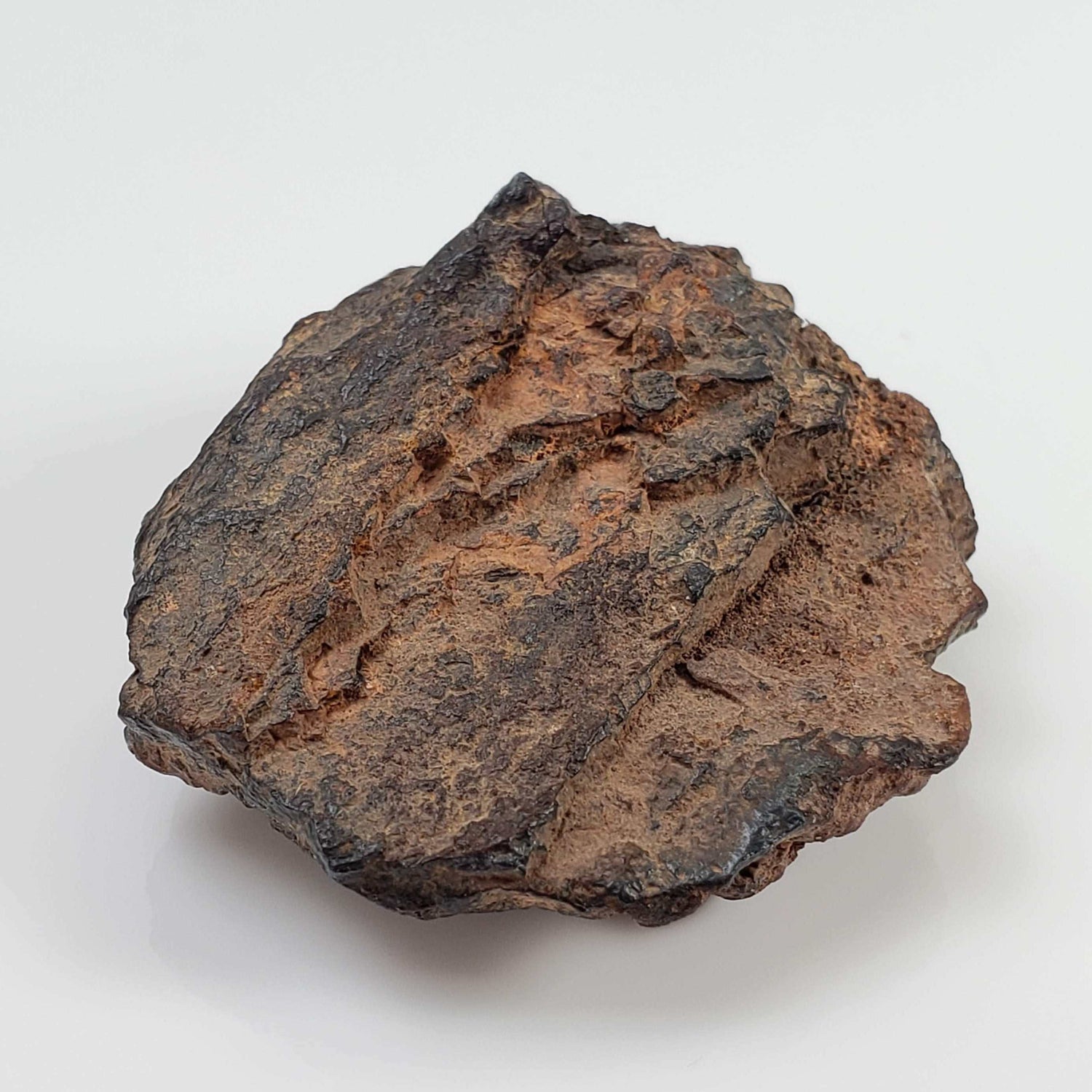  Canyon Diablo Meteorite | 29.39 Grams | Individual | Iron Shale IAB-MG | Arizona U.S.A. 1