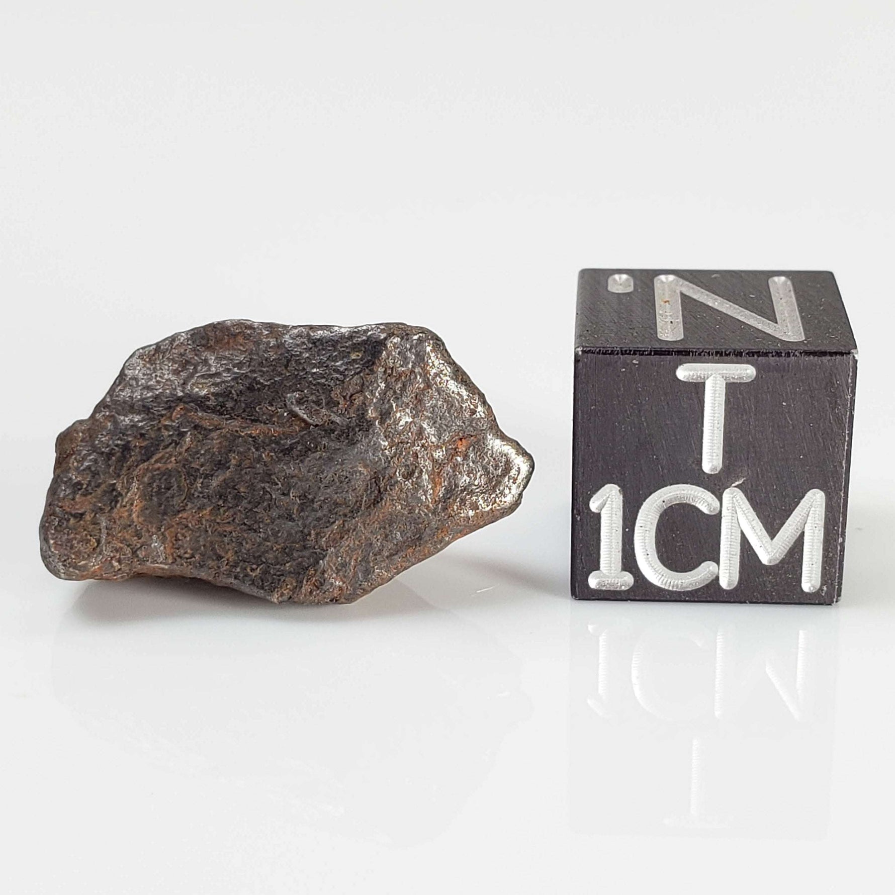  Canyon Diablo Meteorite | 3.9 Grams | Individual | Iron IAB-MG | Arizona U.S.A. 