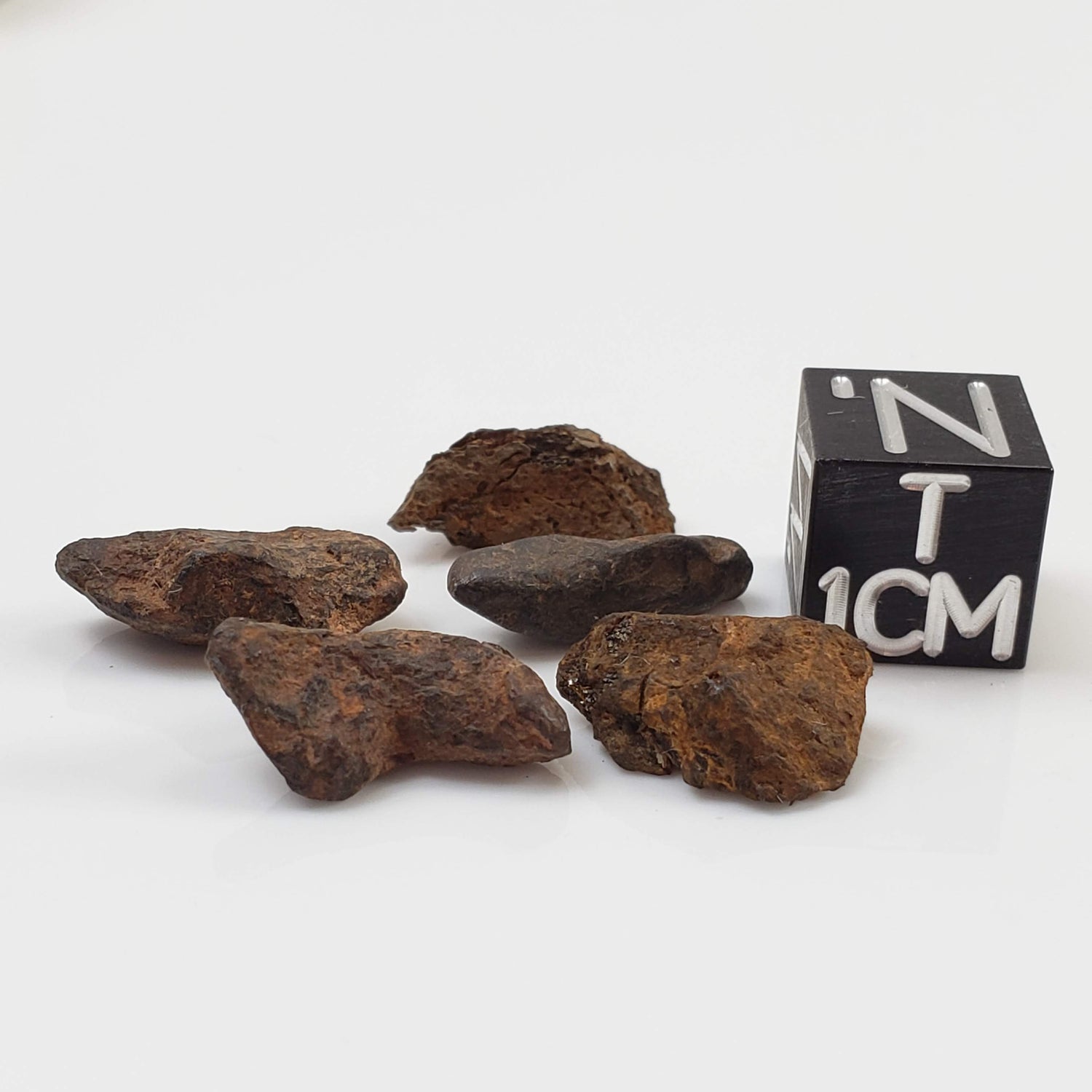  Canyon Diablo Meteorite | Micro | Individual | Iron IAB-MG | Arizona U.S.A. 