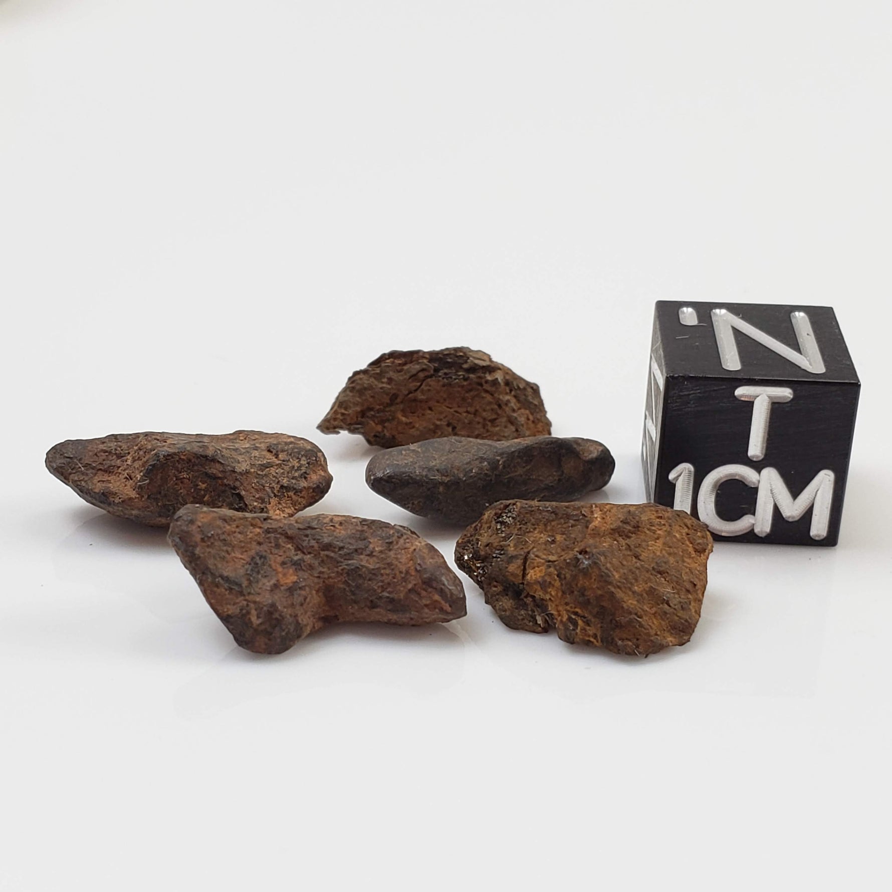  Canyon Diablo Meteorite | Micro | Individual | Iron IAB-MG | Arizona U.S.A. 