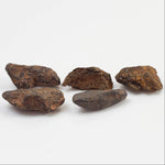  Canyon Diablo Meteorite | Micro | Individual | Iron IAB-MG | Arizona U.S.A. 3