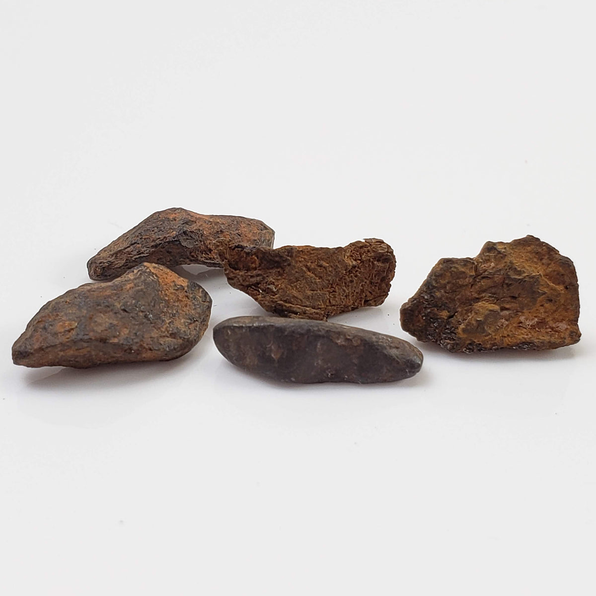  Canyon Diablo Meteorite | Micro | Individual | Iron IAB-MG | Arizona U.S.A. 4