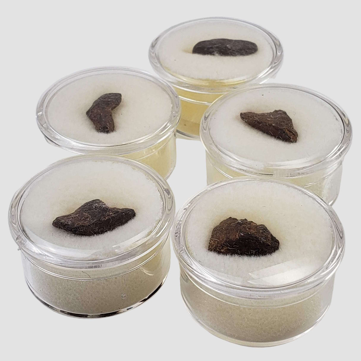 Canyon Diablo Meteorite | Micro | Individual | Iron IAB-MG | Arizona U.S.A.