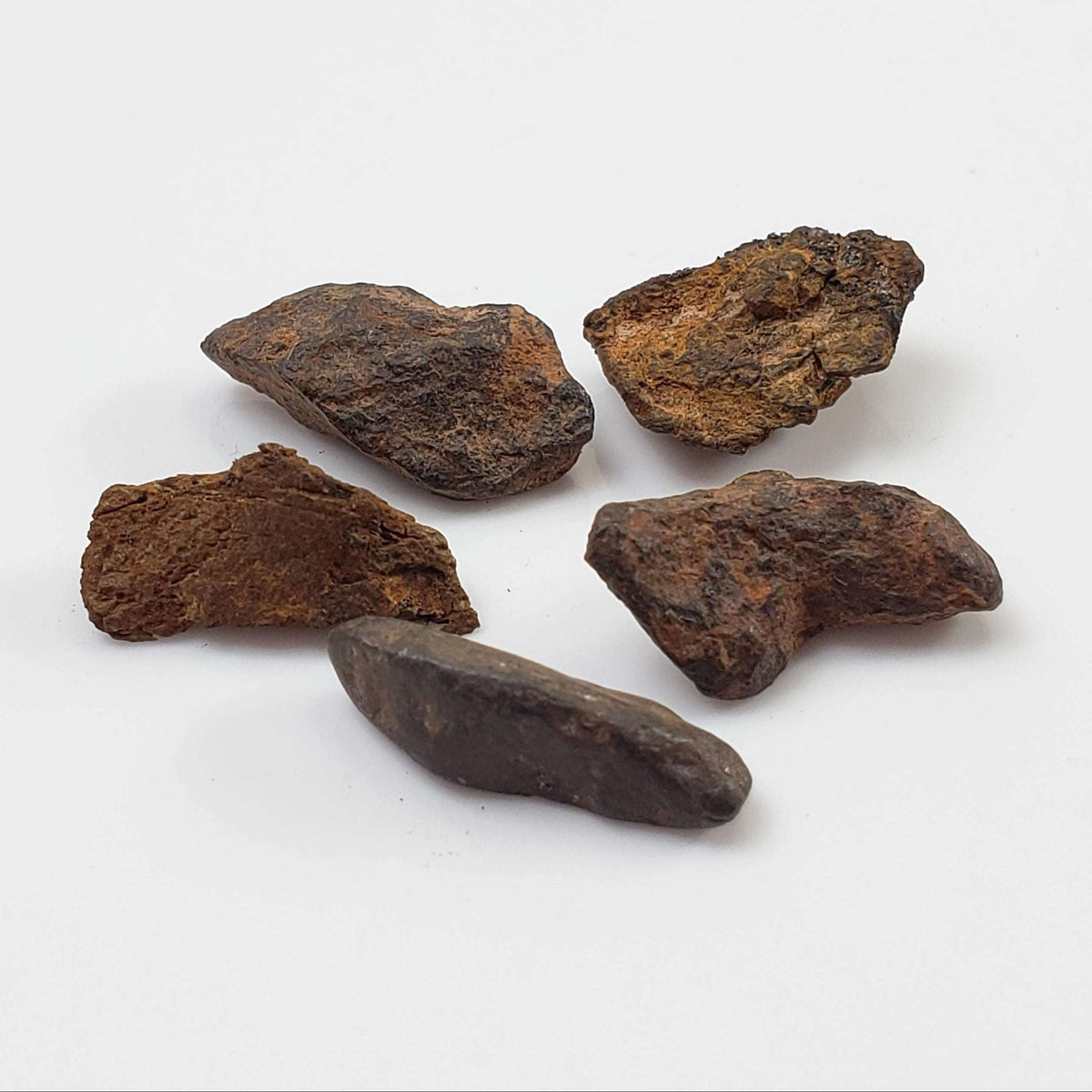 Canyon Diablo Meteorite | Micro | Individual | Iron IAB-MG | Arizona U.S.A.