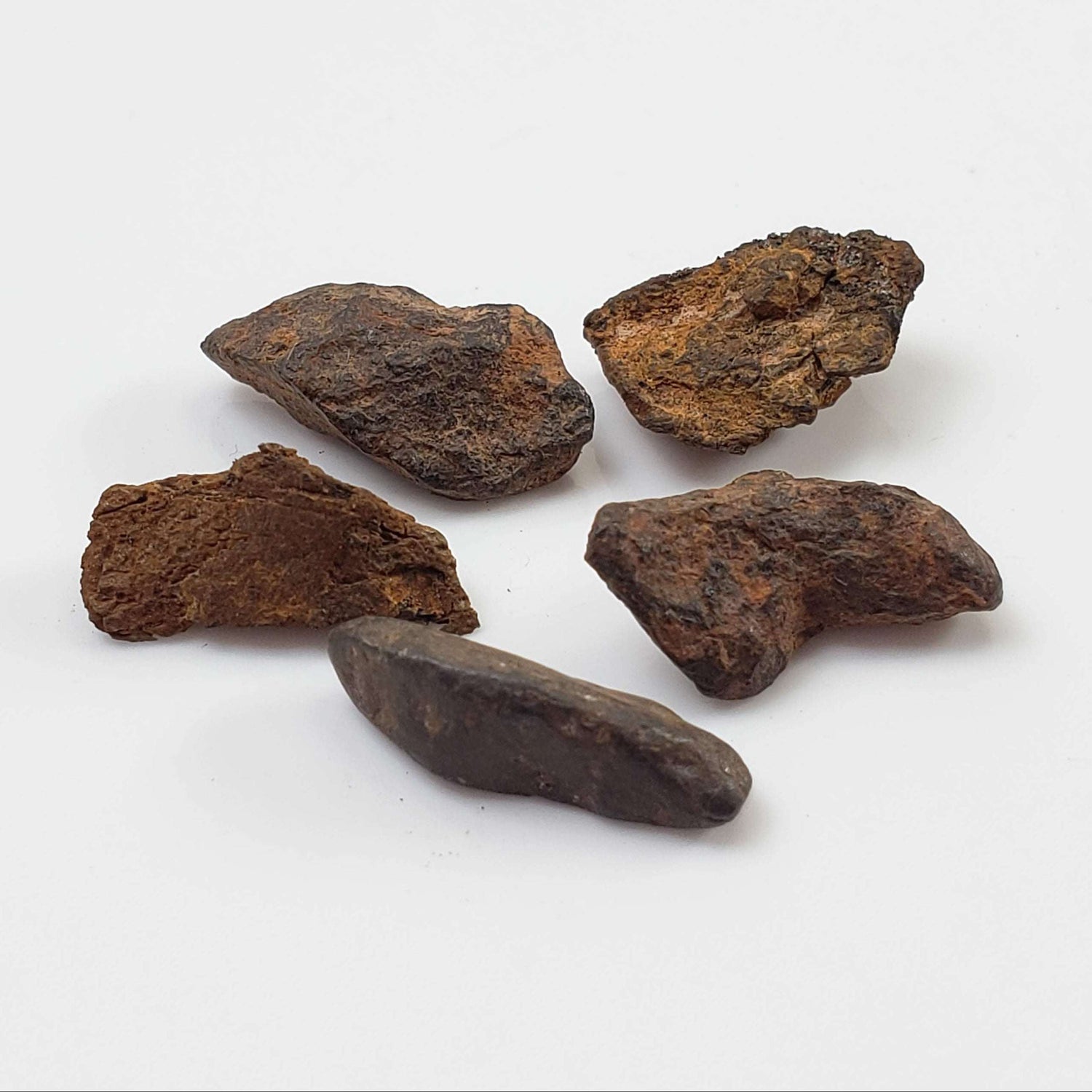 Canyon Diablo Meteorite | Micro | Individual | Iron IAB-MG | Arizona U.S.A.