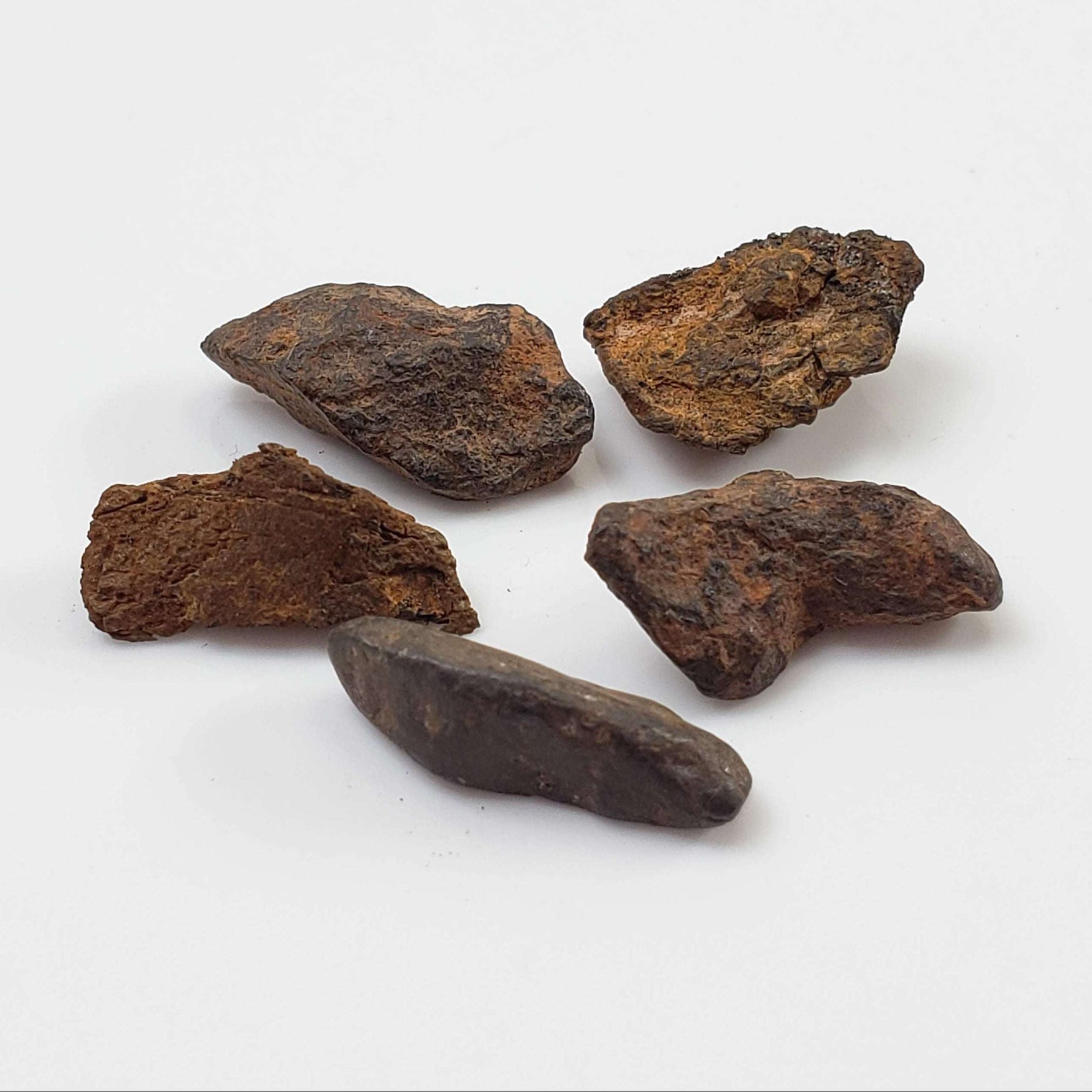 Canyon Diablo Meteorite | Micro | Individual | Iron IAB-MG | Arizona U.S.A.