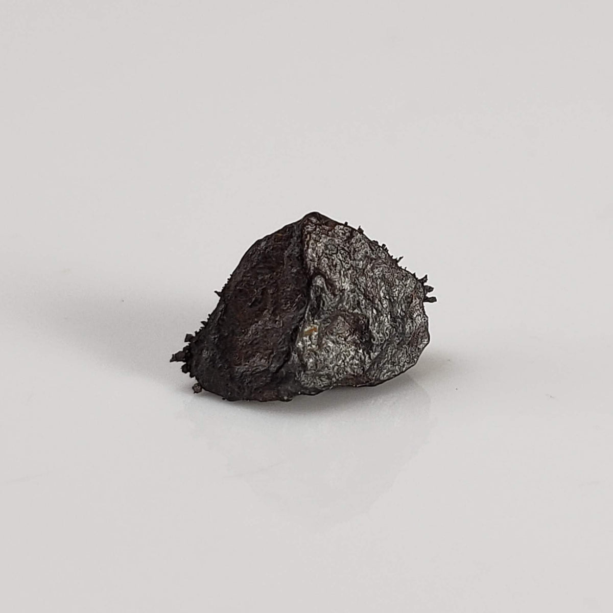 Canyon Diablo Meteorite | Micro | Iron IAB-MG | Arizona U.S.A. 3