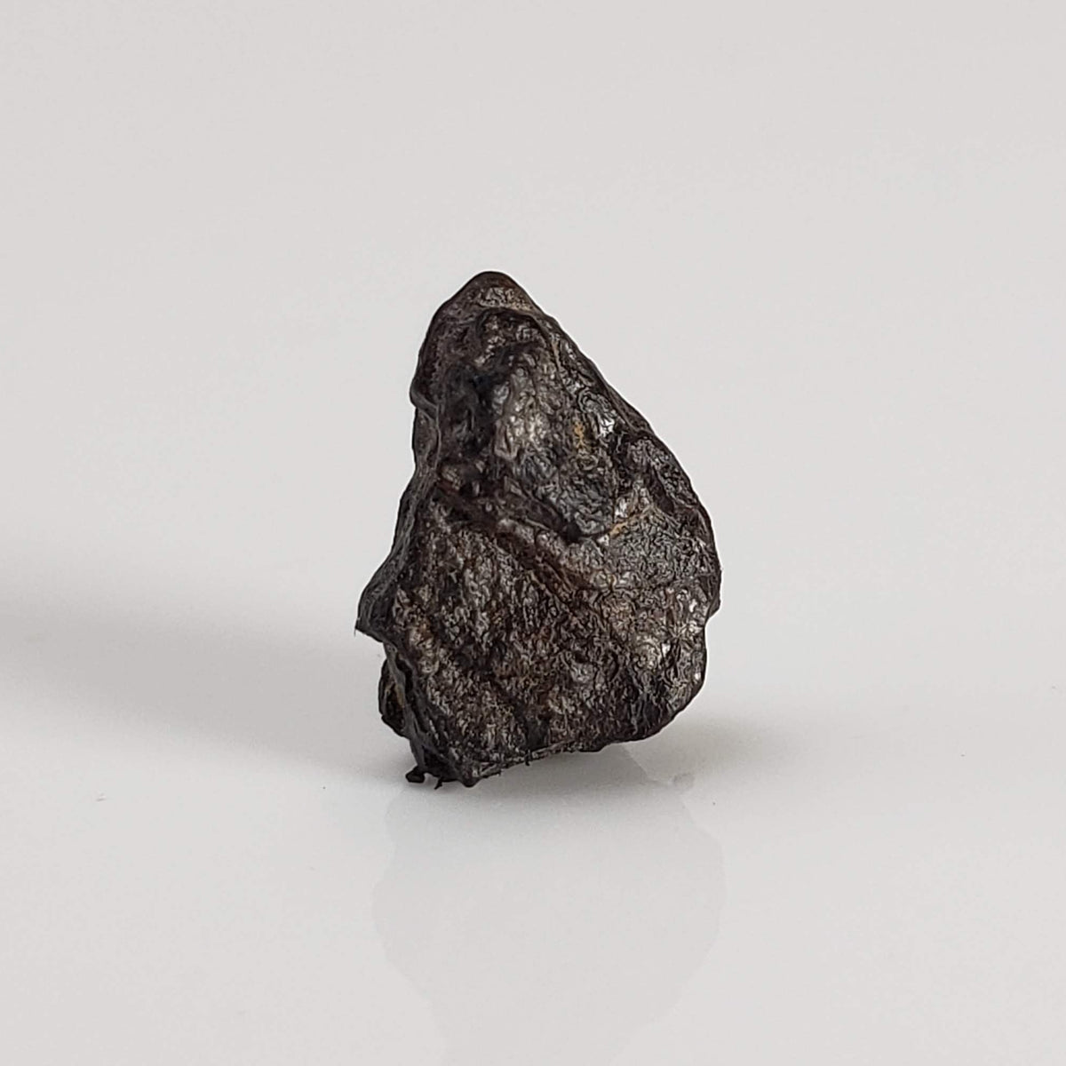 Canyon Diablo Meteorite | Micro | Iron IAB-MG | Arizona U.S.A. 4