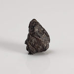 Canyon Diablo Meteorite | Micro | Iron IAB-MG | Arizona U.S.A. 4