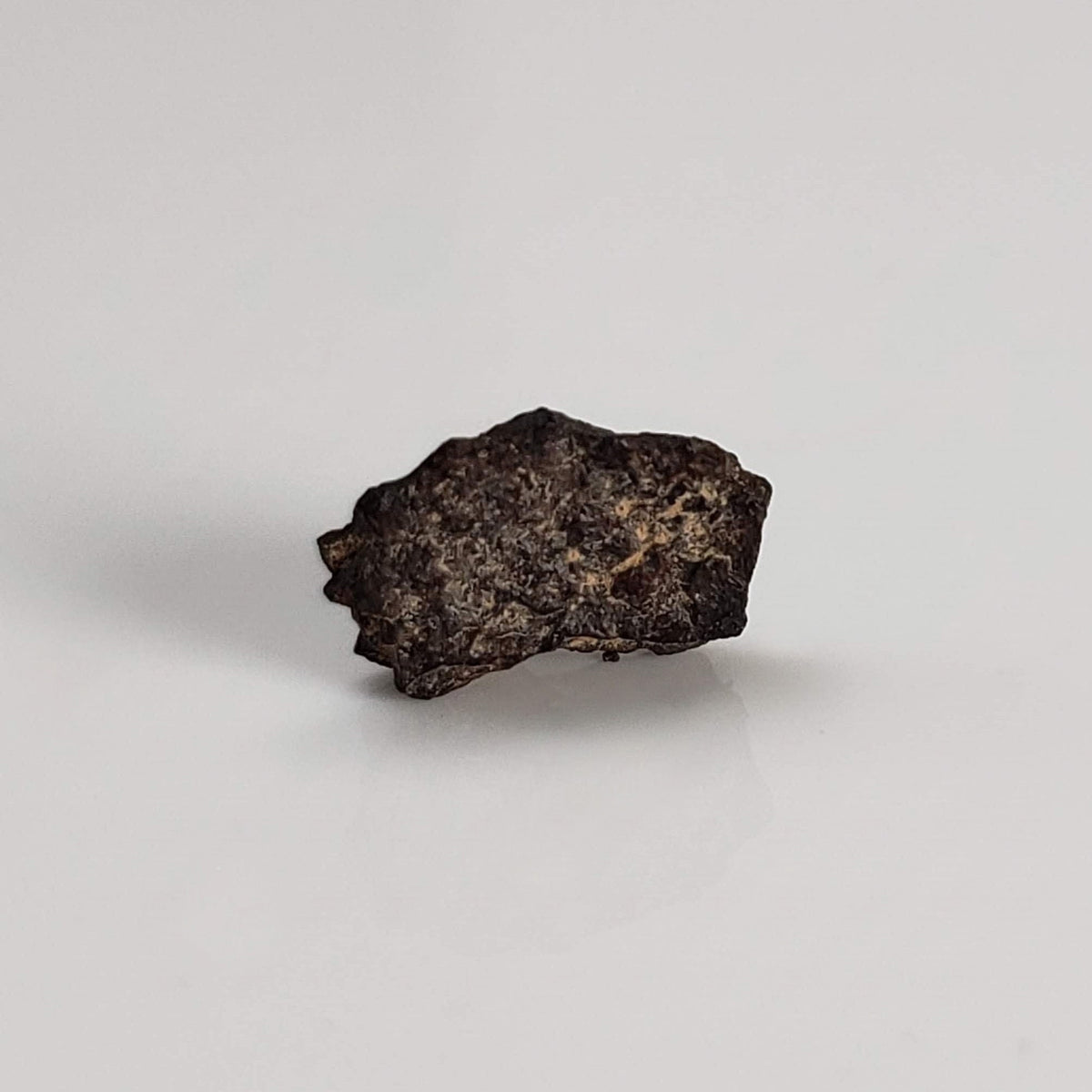 Canyon Diablo Meteorite | Micro | Iron IAB-MG | Arizona U.S.A. 7