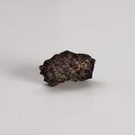 Canyon Diablo Meteorite | Micro | Iron IAB-MG | Arizona U.S.A. 7