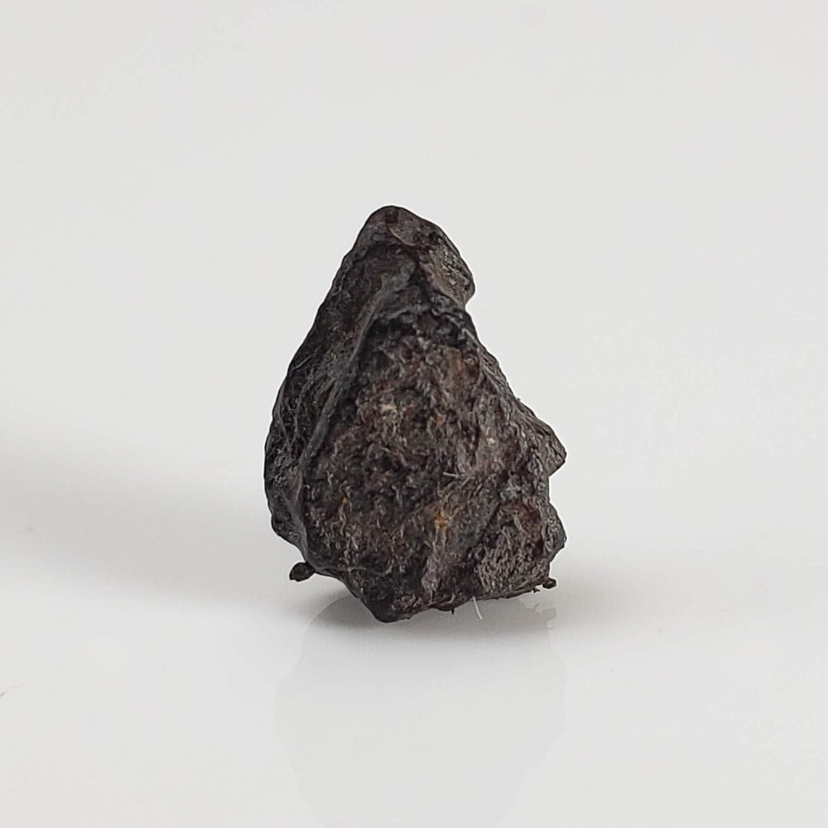 Canyon Diablo Meteorite | Micro | Iron IAB-MG | Arizona U.S.A. 5