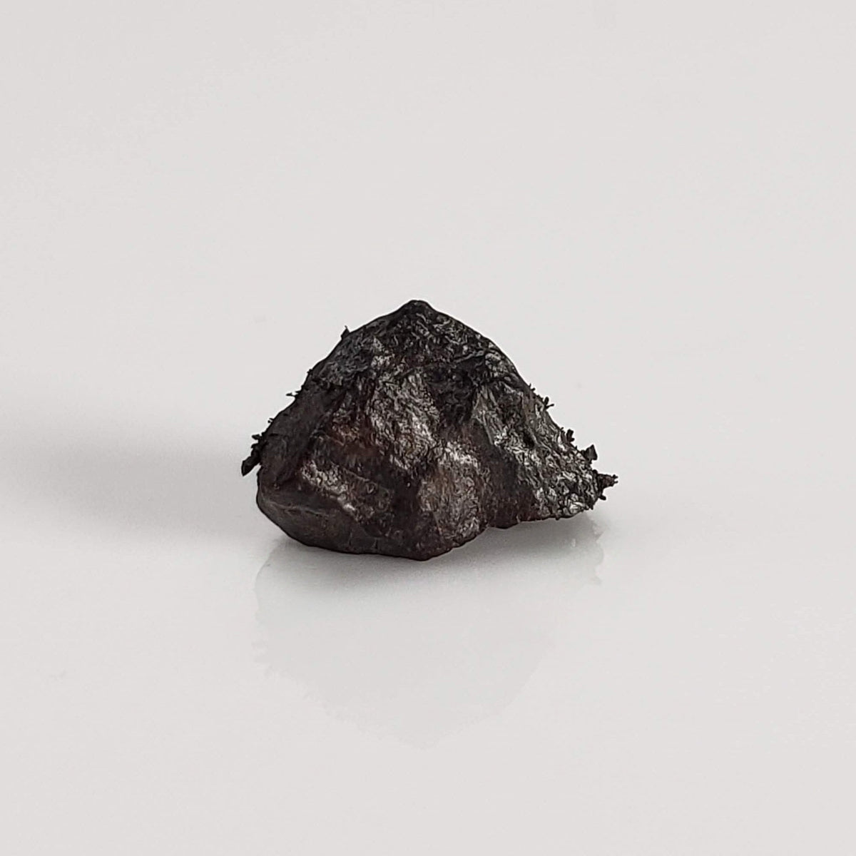 Canyon Diablo Meteorite | Micro | Iron IAB-MG | Arizona U.S.A. 2