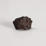 Canyon Diablo Meteorite | Micro | Iron IAB-MG | Arizona U.S.A. 6