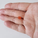  Carnelian | Oval Cut | Orange | 8x6.2mm 7