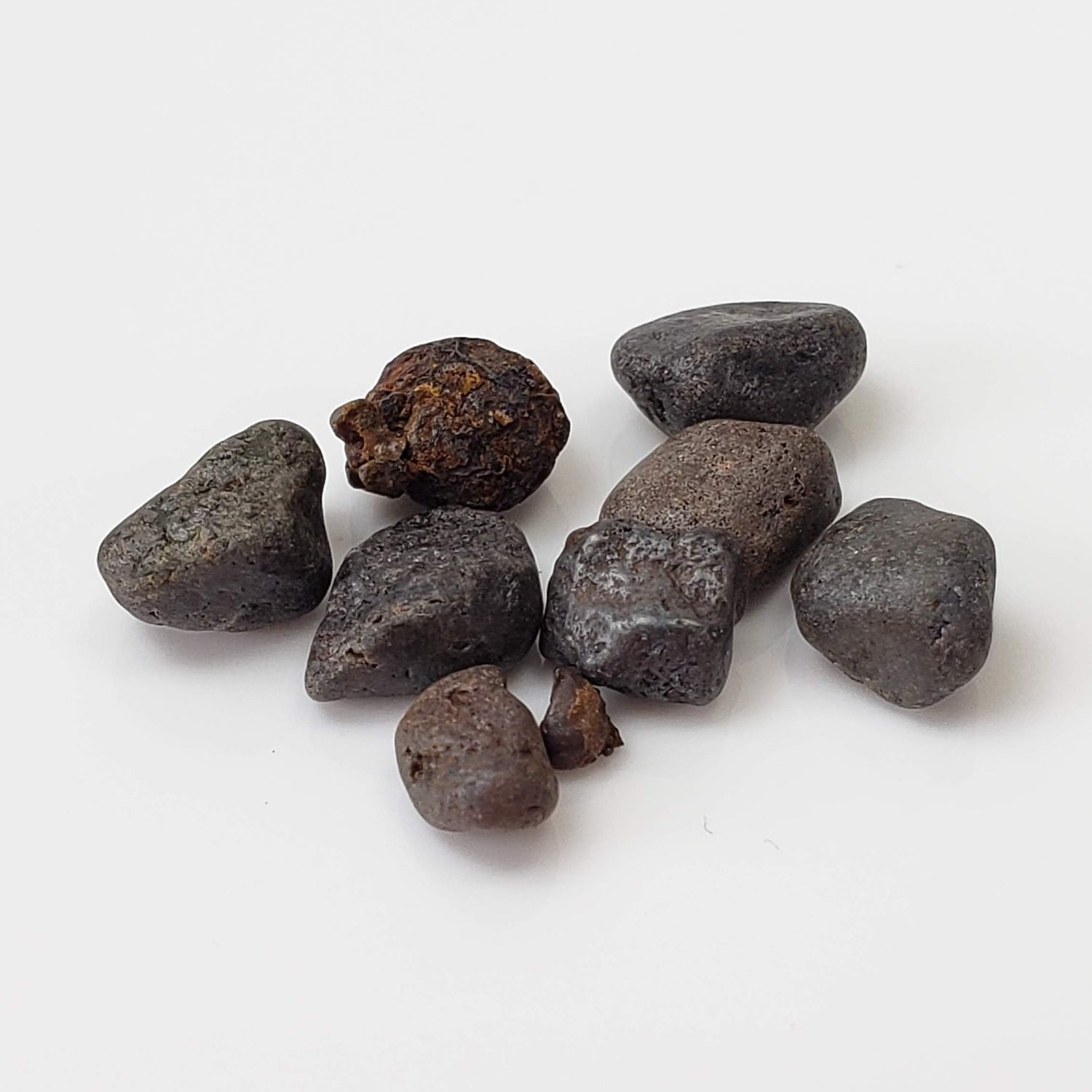  Cassiterite Crystals | Black | Lot in a Jar | Tin Gulch, Grant Co. | New Mexico 1