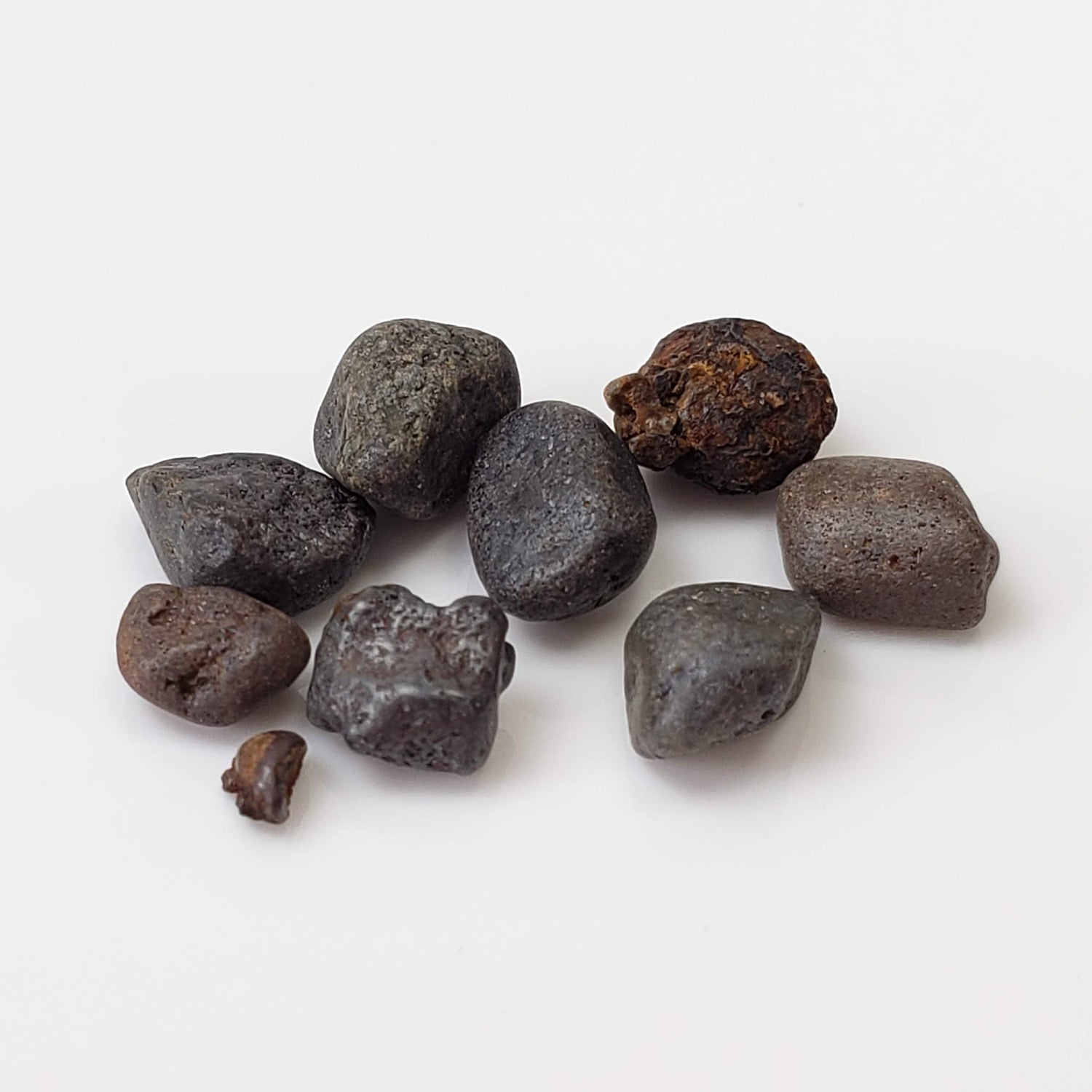  Cassiterite Crystals | Black | Lot in a Jar | Tin Gulch, Grant Co. | New Mexico 