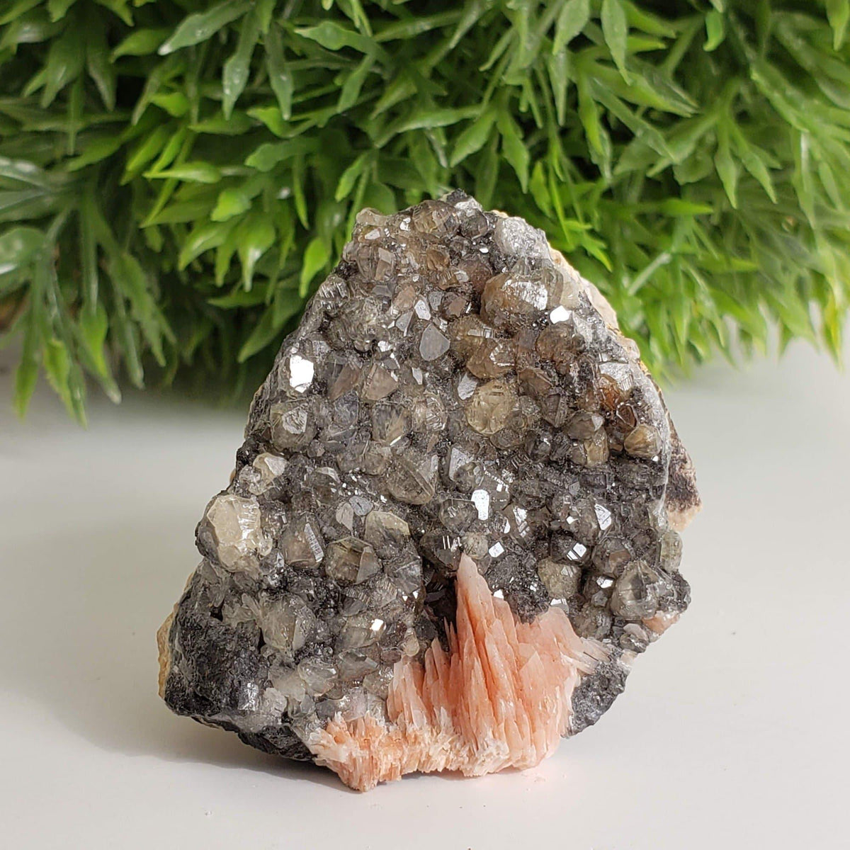  Cerussite Crystals and Pink Barite Blades on Galena Matrix Mineral, Morocco SO24 2