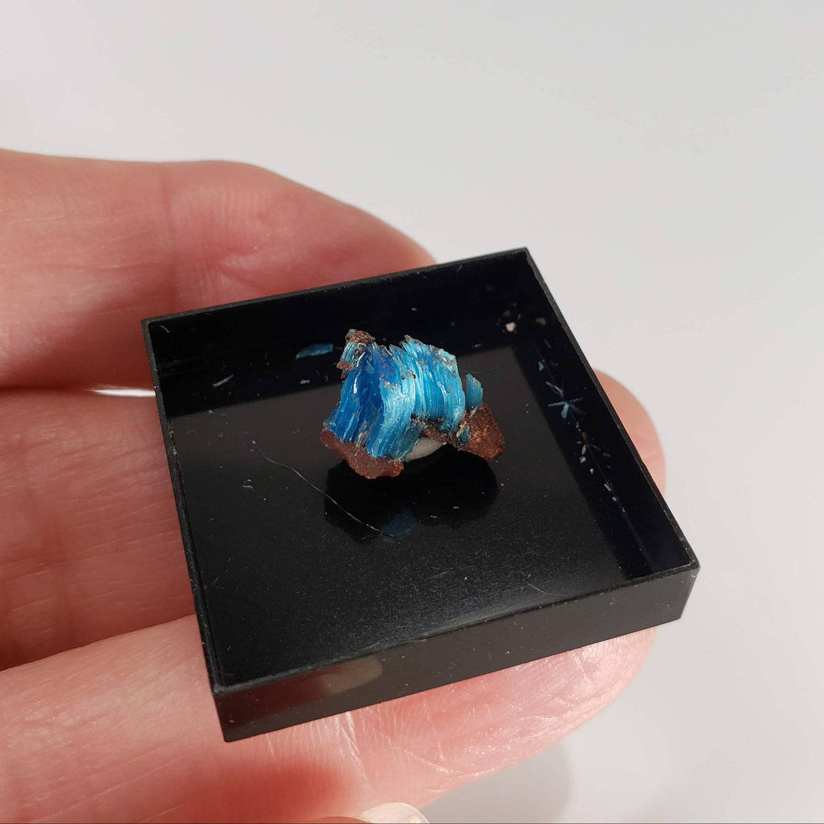 Chalcanthite Crystal | Perky Box Thumbnail Specimen | Planet Mine, Arizona-canagem-6