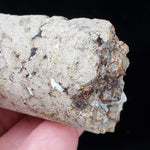  Chalcopyrite, Pyrite, Grossular Crystals | Drilled Core Sample | 81 Grams | Grasberg Open Pit Copper Mine, Indonesia 6