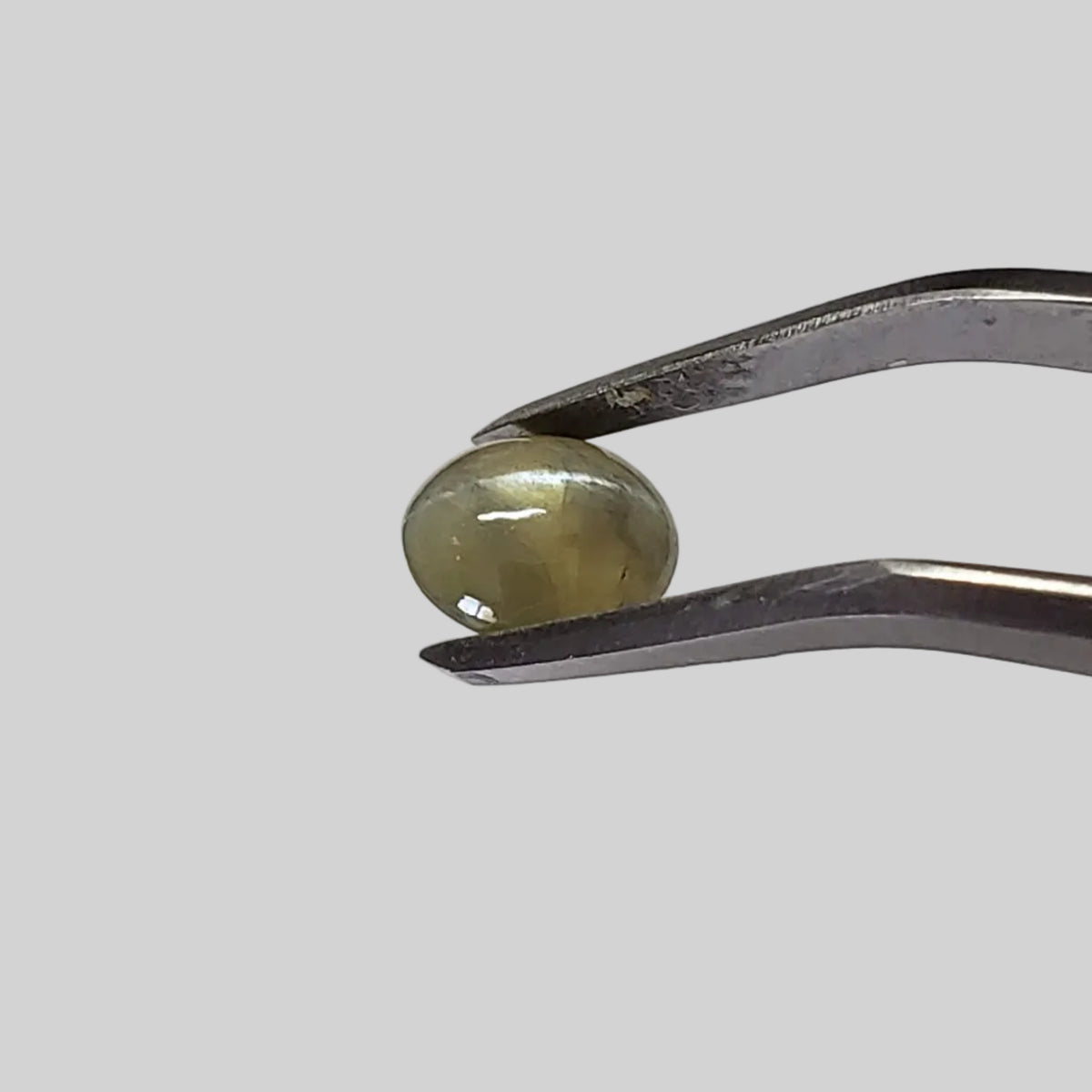  Chrysoberyl Cats Eye | Oval Cabochon | Amber Green | 7.5x6.5mm 1.5ct 1