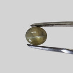 Chrysoberyl Cats Eye | Oval Cabochon | Amber Green | 7.5x6.5mm 1.5ct 