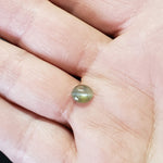  Chrysoberyl Cats Eye | Oval Cabochon | Amber Green | 7.5x6.5mm 1.5ct 6