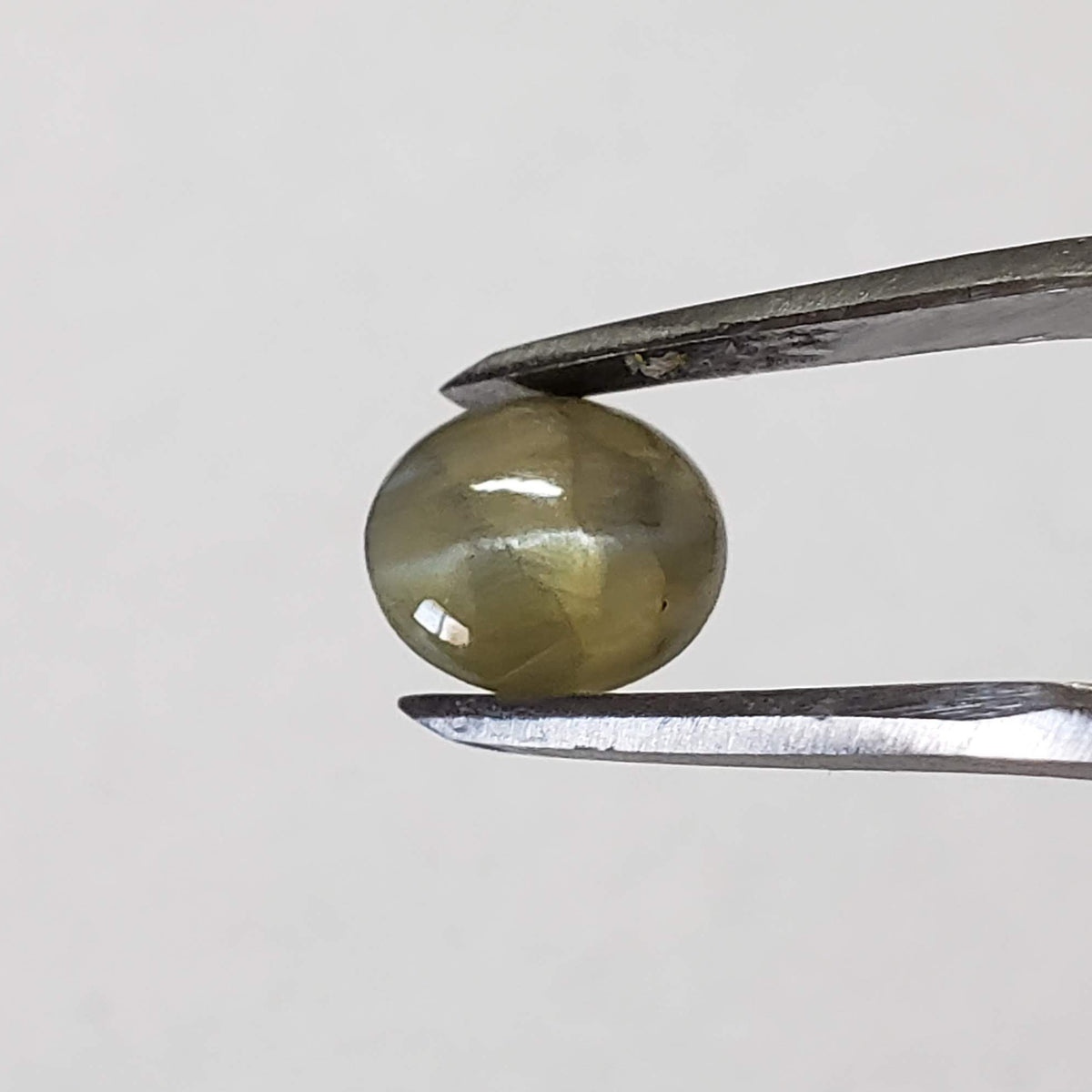  Chrysoberyl Cats Eye | Oval Cabochon | Amber Green | 7.5x6.5mm 1.5ct 4