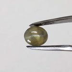  Chrysoberyl Cats Eye | Oval Cabochon | Amber Green | 7.5x6.5mm 1.5ct 4