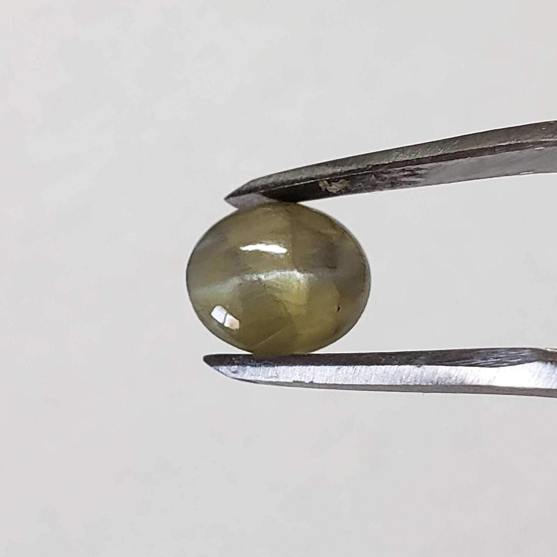  Chrysoberyl Cats Eye | Oval Cabochon | Amber Green | 7.5x6.5mm 1.5ct 4