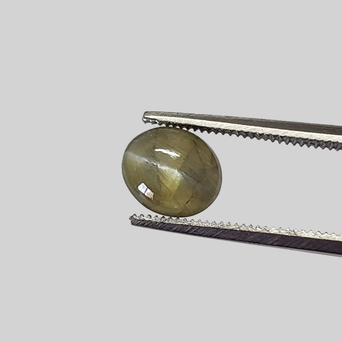  Chrysoberyl Cats Eye | Oval Cabochon | Amber Green | 7.5x6.5mm 1.5ct 5