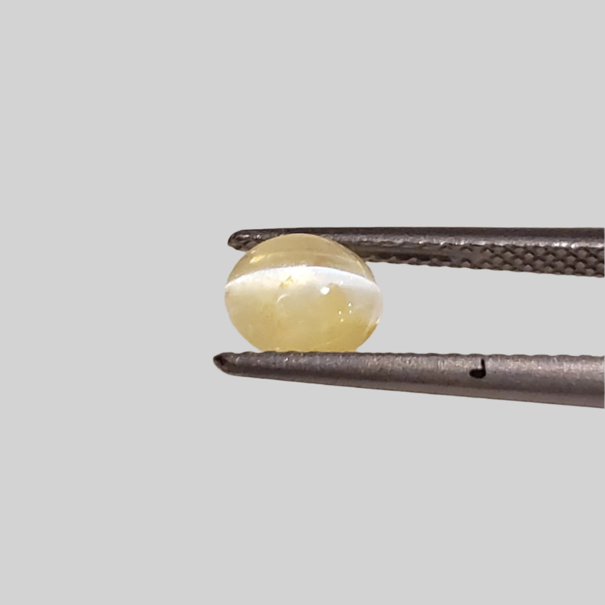  Chrysoberyl Cats Eye | Oval Cabochon | Yellow | 6.5x5.6mm 1.1ct 2