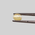  Chrysoberyl Cats Eye | Oval Cabochon | Yellow | 6.5x5.6mm 1.1ct 2