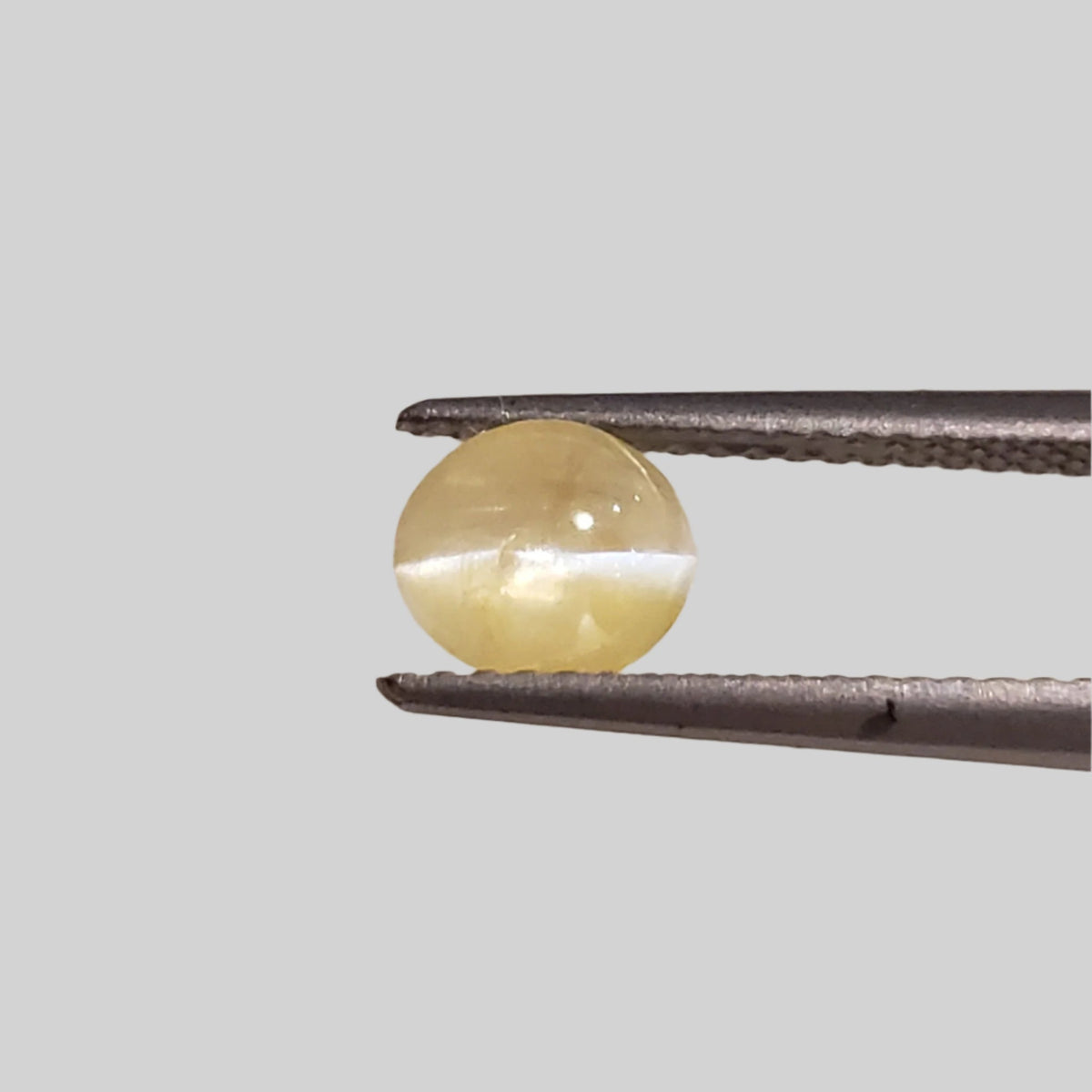  Chrysoberyl Cats Eye | Oval Cabochon | Yellow | 6.5x5.6mm 1.1ct 1