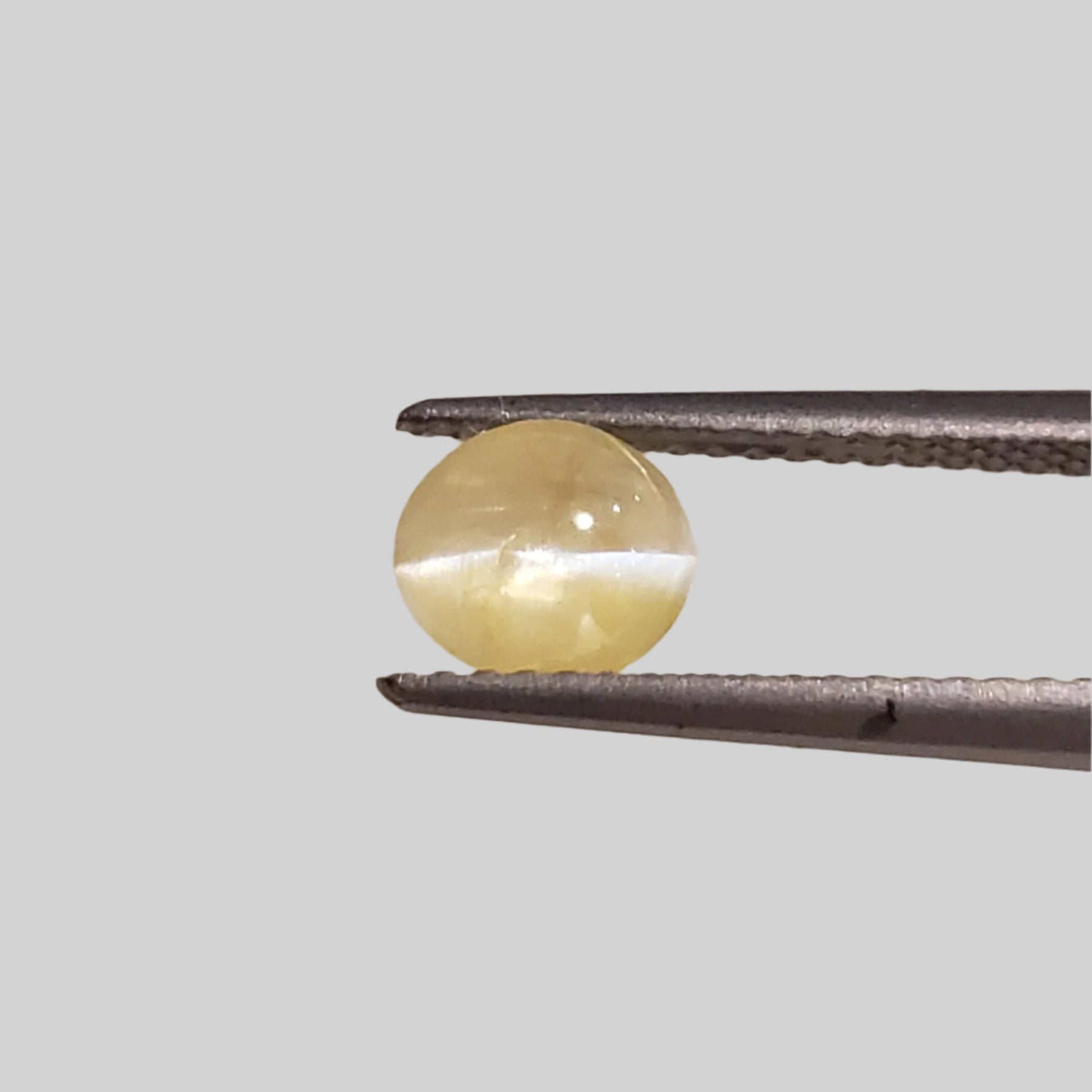  Chrysoberyl Cats Eye | Oval Cabochon | Yellow | 6.5x5.6mm 1.1ct 1