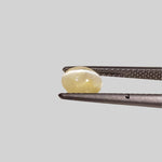  Chrysoberyl Cats Eye | Oval Cabochon | Yellow | 6.5x5.6mm 1.1ct 3